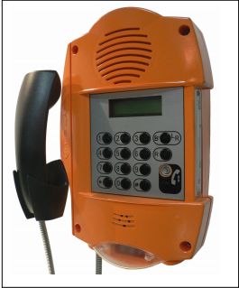 VoIP (SIP) TLS 402 E2/P - всепогодный телефон